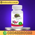 Man Power Capsules In Pakistan
